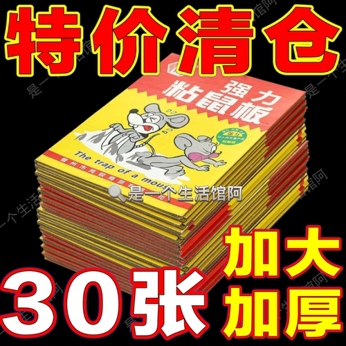 30张强力粘鼠板捉粘大老鼠