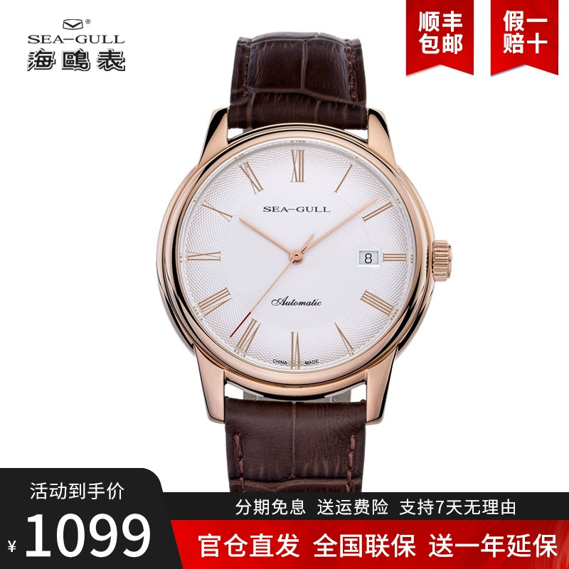 正品海鸥手表女士时尚商务休闲全自动机械表女表D519.405L男表潮