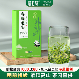 赋雅轩2025新茶叶绿茶特一级毛峰四川蒙顶山茶浓香自己喝散装毛尖