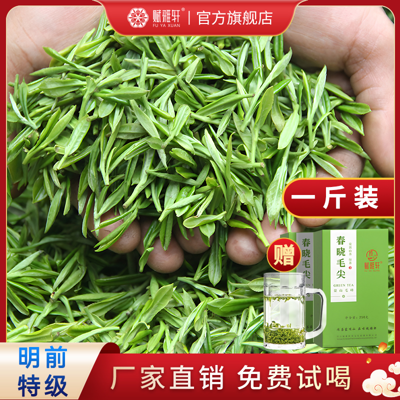 赋雅轩四川雅安蒙顶山茶高山云雾绿茶2023新茶叶明前特级毛尖毛峰