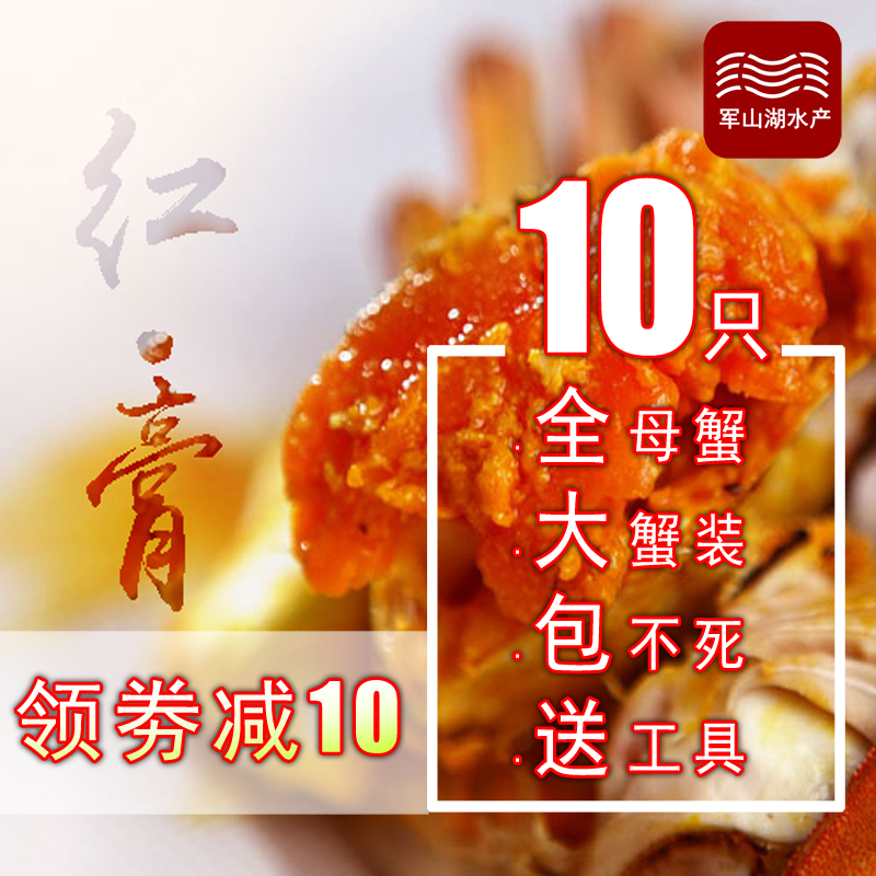 南昌軍山湖大閘蟹全母禮盒裝螃蟹現貨10只2-2.4兩鮮活大閘蟹順豐