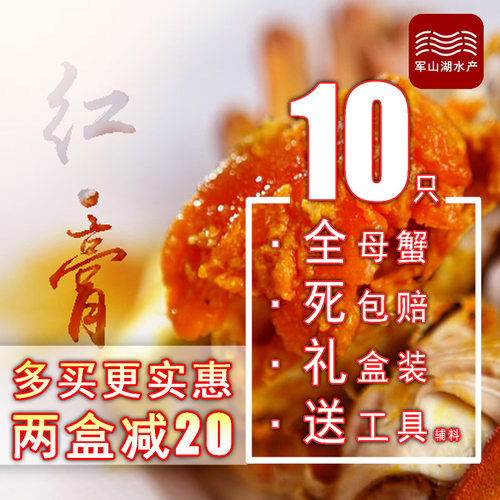 南昌军山湖大闸蟹10只2-2.4母大闸蟹螃蟹礼盒装鲜活蟹螃蟹顺丰