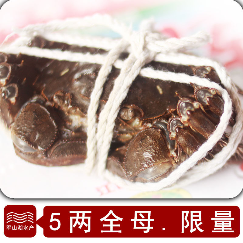 南昌军山湖大闸蟹5两全母蟹大闸蟹螃蟹礼盒军山湖鲜活顺丰礼盒装