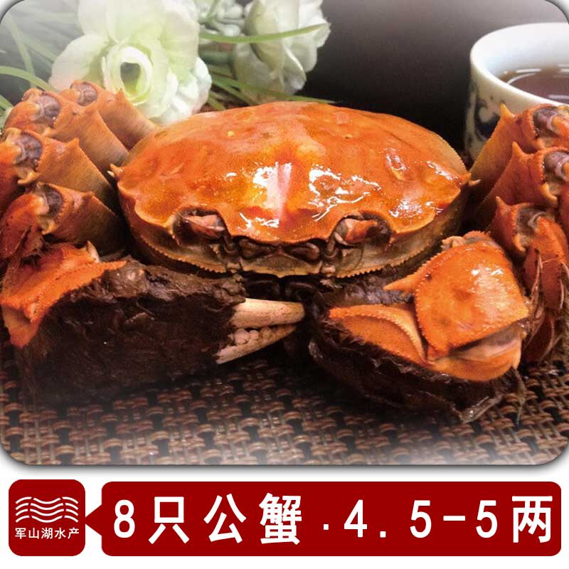 南昌军山湖大闸蟹4.5-5两8只全公蟹大闸蟹螃蟹礼盒装鲜活螃蟹顺丰