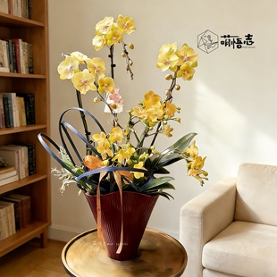 景德镇艺术高脚陶瓷花盆兰花三角梅流泉枫高级客厅蝴蝶兰专用清仓