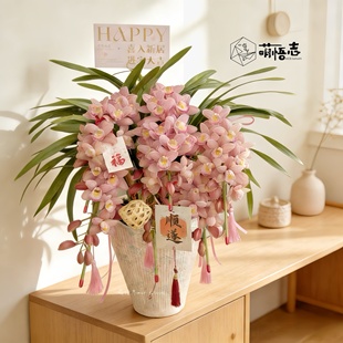 景德镇陶瓷蝴蝶兰花盆轻奢高级异形粗陶大花惠兰拱兰文心兰专用盆