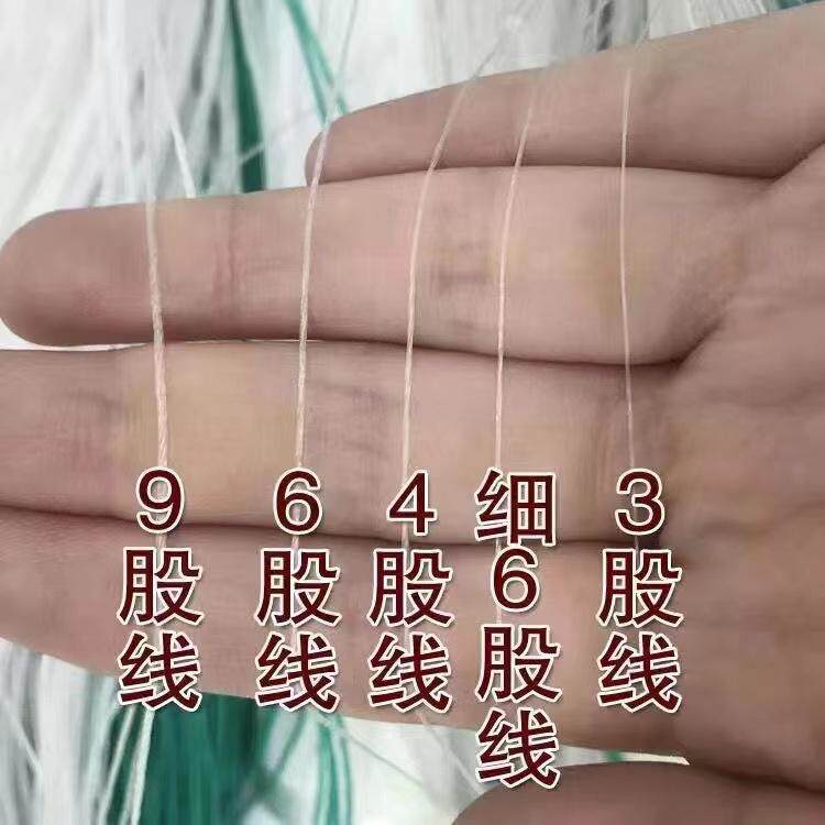 种植植物专用攀爬网爬藤网