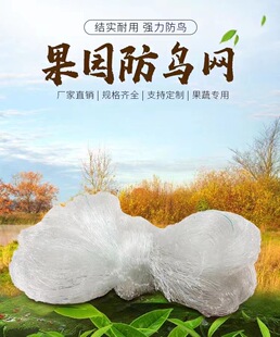 防鸟网果树防鸟网农用防鸟果园用网天网樱桃桃树防鸟罩阳台