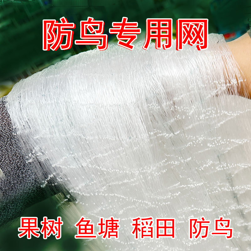 加粗防鸟网果树防鸟网农用防鸟果园用网天网果树防鸟罩阳台0.38线