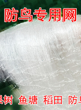 加粗防鸟网果树防鸟网农用防鸟果园用网天网果树防鸟罩阳台0.38线