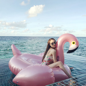 美丽加分玫瑰金火烈鸟天鹅坐骑