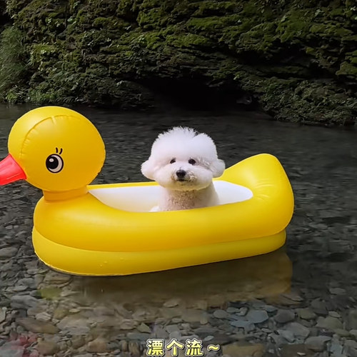 小黄鸭儿童宠物充气小船