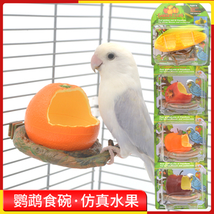 小型鹦鹉防溅撒喂食器虎皮牡丹仿真水果食盒文鸟太平洋鸟食罐食碗