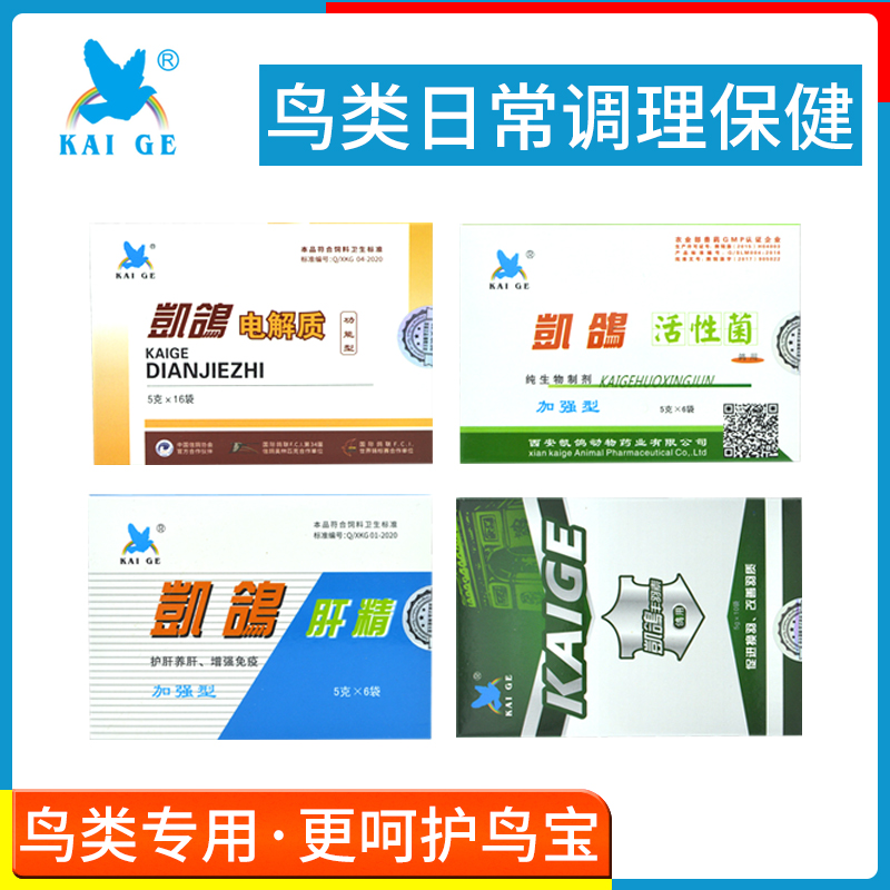 凯鸽鹦鹉消化不良换毛抗应激护肝