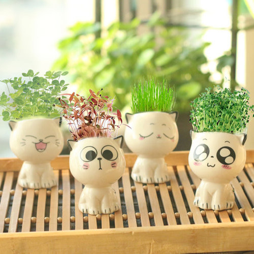 创意可爱小绿植卡通造成桌面盆栽