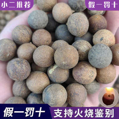 天然白玉菩提根原果白果菩提子原籽文玩11-18mm精选大果原料一斤