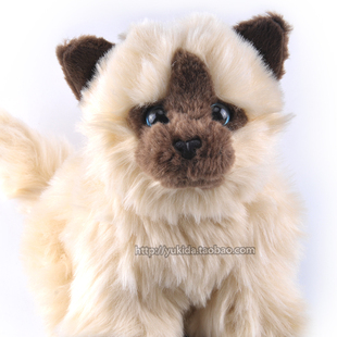 正版美国ToysRus玩具反斗城仿真布偶猫咪毛绒布艺类公仔 WWF中性