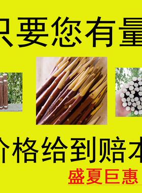 野生红柳签子500根红柳枝烤肉串30cm35cm40cm50cm正宗红柳木新疆
