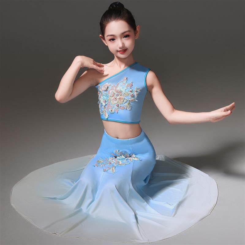 傣族舞演出服女童民族风刺绣无袖修身鱼尾裙儿童舞蹈服装