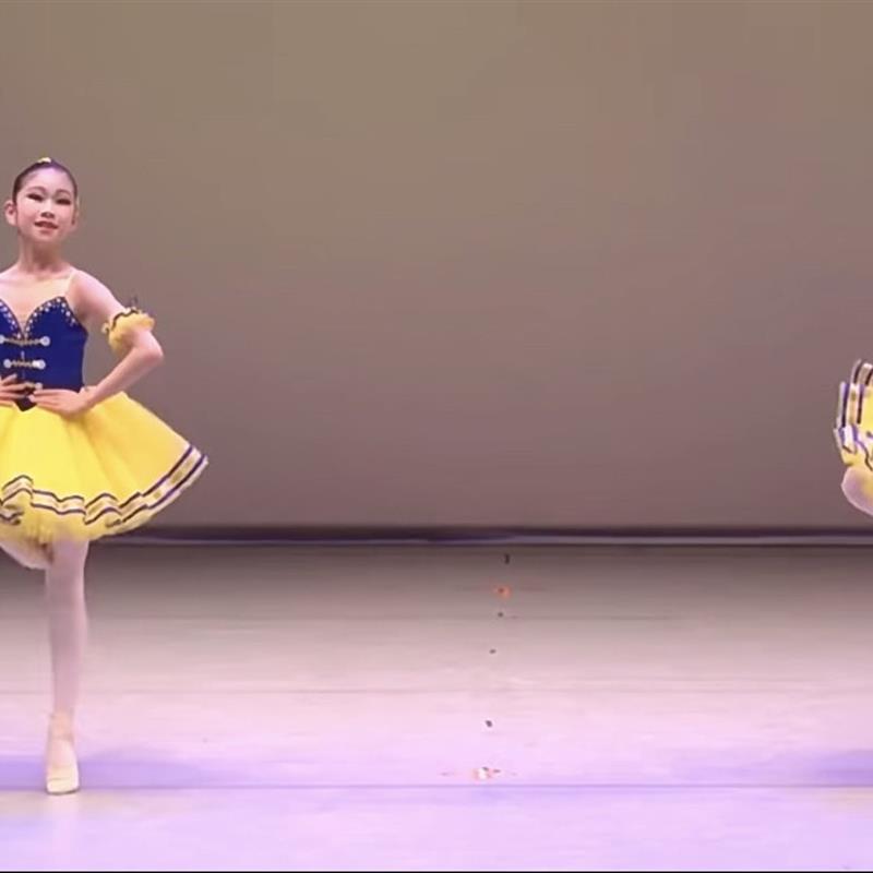 芭蕾舞裙儿童女春秋纱裙公主裙演出服专业蓬蓬裙表演服