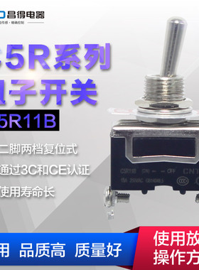 CNTD昌得2脚2档C5R11B 15A 拨动摇头摆臂钮子开关 复位式1021R