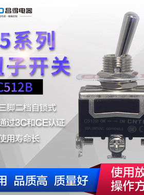 CNTD昌得总代理钮子开关 C512B 摇头开关自锁 三脚二档 1121银点