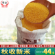 山东沂蒙山农家新小米香糯粘黄小米食品小黄米小米粥五谷杂粮5斤