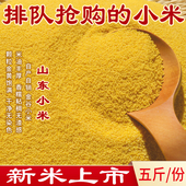 山东小米新黄小米粥金谷食用杂粮粗粮食新鲜吃 米脂月子米小黄米