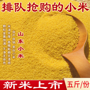 山东小米新黄小米粥金谷食用杂粮粗粮食新鲜吃的米脂月子米小黄米