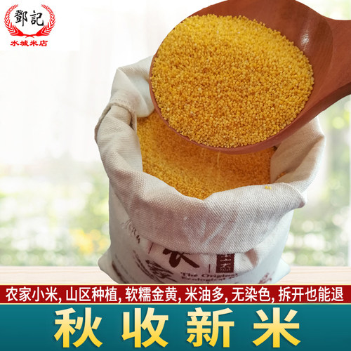 山东沂蒙山农家新小米香糯粘食用黄小米食品小黄米小米粥五谷杂粮 - 封面