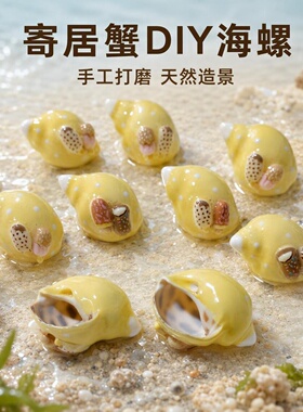 奶黄波点寄居蟹替换壳手工DIY海螺壳宠物造景装饰高颜值寄居螺壳
