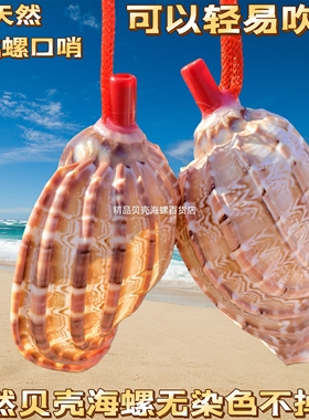 纯天然海螺口哨超大海螺壳贝壳哨子儿童玩具螺号创意礼物收藏吹响