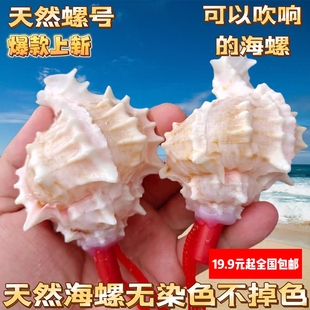 倾听大海声天然螺吹小螺号红骨螺贝壳口哨儿童玩具礼物工艺品挂饰