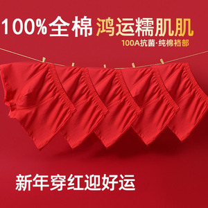 100%全棉纯棉青少年发育期内裤男孩四角裤胖童中大童平角红色短裤