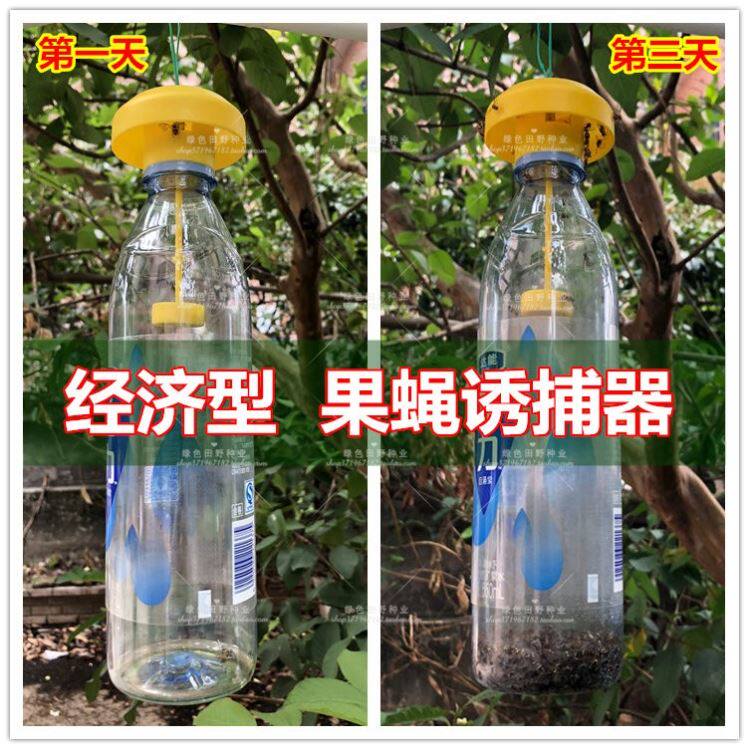 抓果蝇诱捕器果园菜地瓜果实蝇针蜂快速捕抓器石榴水果容器抓蝇器|ruв категории доставка цветов/цветок моделирования/растения садоводства, садовых принадлежностей, других садовых принадлежностей - от Buy2taobao.com для оказания профессиональной услуги покупки агента Taobao