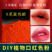 5克装 自制口红色粉diy手工唇膏原材料制作大牌口红粉原料