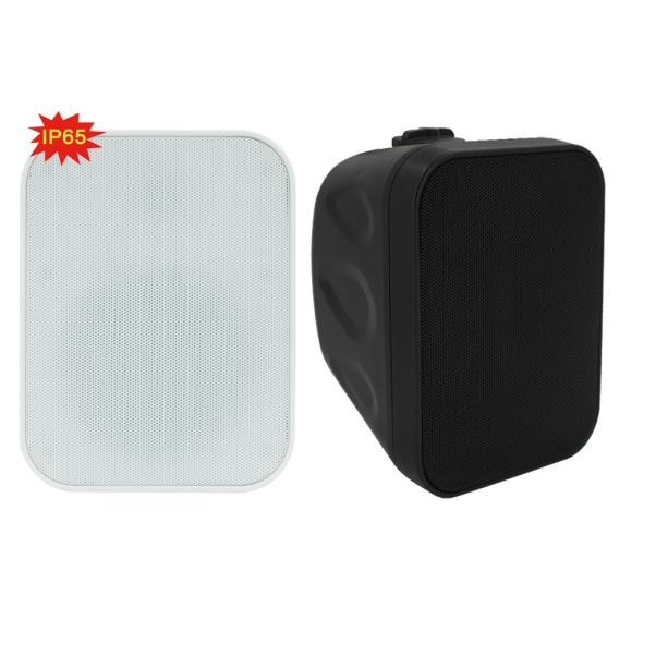 定阻室外防水壁挂音响IP65等级广播背景音乐音箱6.5寸高品质