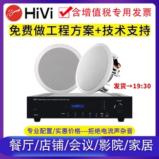 VX6 Hivi VX5 C同轴天花吊吸顶喇叭音箱背景音乐会议音响8 惠威