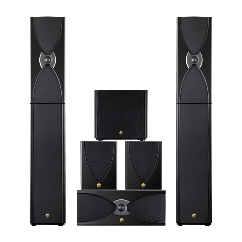 Hivi/惠威 D20黑色家庭影院5.0音响系统HIFI落地后导向木质音响