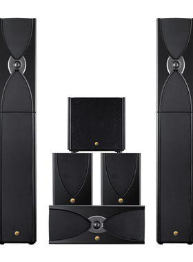 Hivi/惠威 D20黑色家庭影院5.0音响系统HIFI落地后导向木质音响