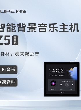 HOPE/向往Z5酒店4寸背景音乐喇叭智能家庭功放面板主机蓝牙功放
