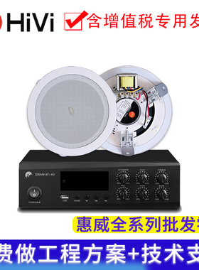 Hivi/惠威 TD206/TD205定压吸顶喇叭嵌入式音箱天花吊顶音响套装