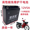 适用弯梁女士摩托车110豪爵龙品牌大阳免维护蓄电池12V5A干电瓶