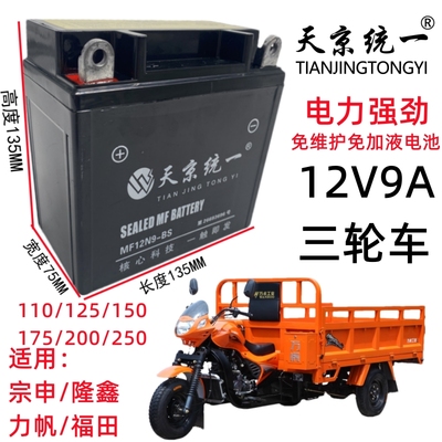 天京统一高能免维护三轮车干电瓶
