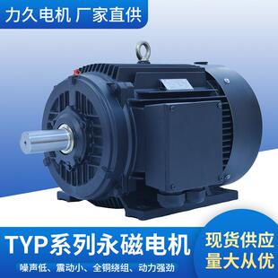 山东力久超高效永磁变频电动机TYP系列3000rpm永磁同步电机150Hz