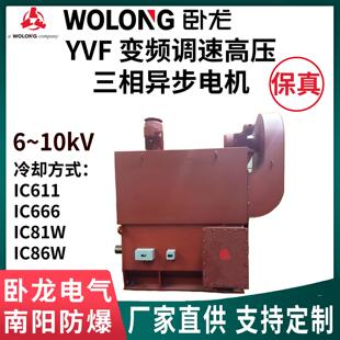 卧龙南阳防爆集团YVF变频调速高压电机315-1120中心高160～4500kW