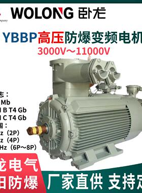 ExdbⅠ/ⅡBT4/ⅡCT4Gb卧龙南阳YBBP高压变频电机6/10kVIP55 B3B35