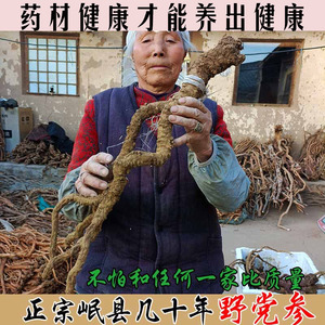 甘肃岷县特级50年野生中药材党参250g无硫上潞党参蛤蟆纹党参茶