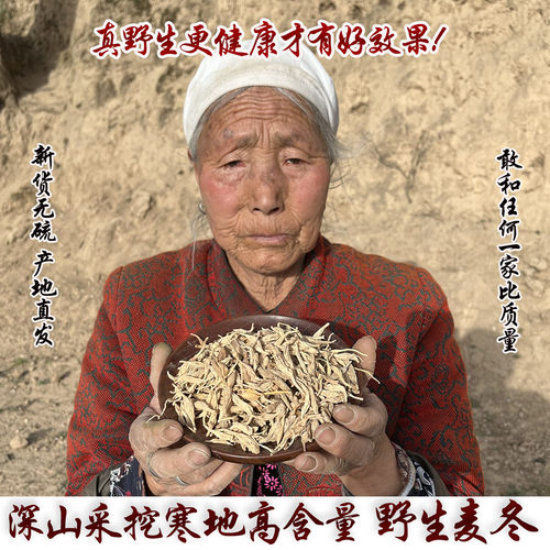 高海拔寒地纯野生麦冬不是山麦冬