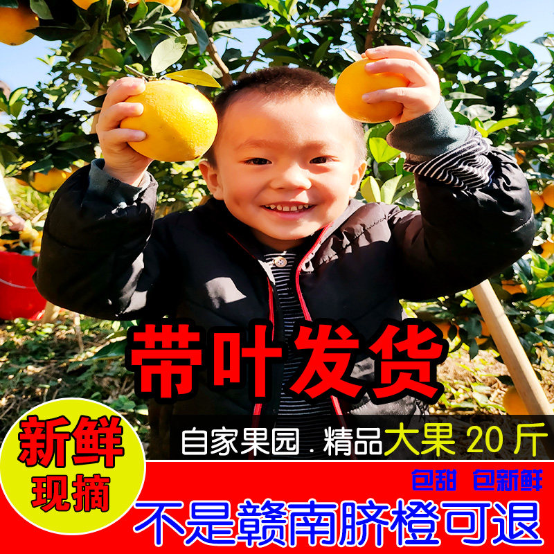江西赣南脐橙长叶香橙现摘新鲜水果带叶新鲜甜橙子赣州安远,水产肉类/新鲜蔬果/熟食,橙,淘宝优惠券,粉丝福利购,淘宝优惠卷